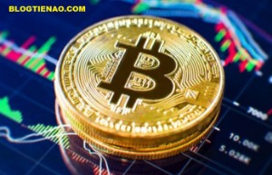 Ảnh của Phân tích giá Bitcoin 03/12: Dường như đáy đã xuất hiện.