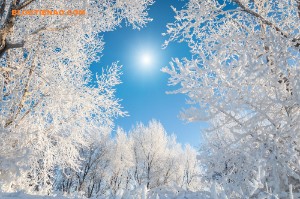 Ảnh của Phân tích giá Bitcoin 19/12: Bitcoin hình thành Doji, báo hiệu xu hướng đảo ngược tiềm năng.