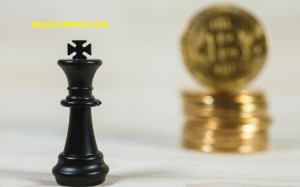 Ảnh của Bitcoin sẽ trưởng thành và giành lại thị phần vào năm 2019.