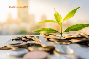 Ảnh của Đồng tiền mã hóa nào hứa hẹn nhất?