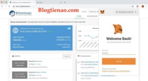Ảnh của Hướng Dẫn Add Token ICO Vào Ví MetaMask Hoặc Ví MEW