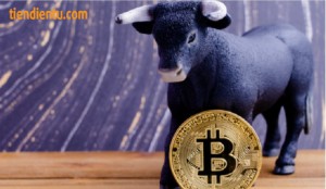 Ảnh của Phân tích giá Bitcoin: Sự điều chỉnh tăng mạnh vẫn có thể xảy ra nếu giá giữ trên 3,550 đô la.