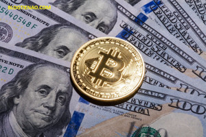 Ảnh của Cục Dự trữ Liên bang đổ lỗi cho việc giá Bitcoin giảm mạnh là do altcoin.
