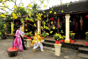 Ảnh của Tết buồn của dân đào coin – ‘dọn trâu cất kho ăn Tết cho ngon’
