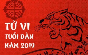 Ảnh của Chi tiết tử vi tuổi Dần năm 2019: Vận trình biến động, thích ứng nhanh với thay đổi, bứt phá nhờ trí lực và sự sáng tạo vô biên