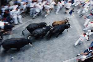 Ảnh của Khối lượng hàng ngày đạt mức cao mới trong năm 2019, toàn thị trường cùng ‘bull run’.
