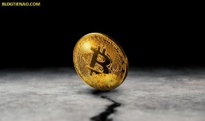 Ảnh của Fractal của năm 2015 cho thấy Bitcoin đang trong quá trình tạo đáy
