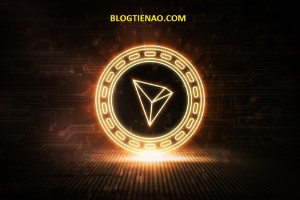 Ảnh của Hardfork của Tron vào ngày 28 được thiết kế dành riêng cho các nhà đầu tư tổ chức.