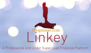 Ảnh của Linkey là gì? Tổng quan về đồng tiền mã hoá Linkey (LKY)