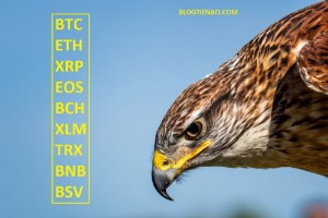Ảnh của Phân tích giá 28/02: Bitcoin, Ethereum, Ripple, EOS, Bitcoin Cash, Stellar, TRON, Binance Coin, Bitcoin SV