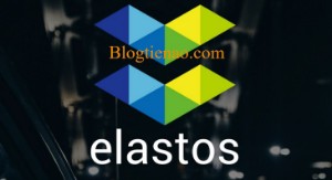 Ảnh của Elastos là gì? Tổng quan về đồng tiền mã hóa Elastos (ELA)