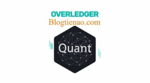 Ảnh của Quant là gì? Tổng quan về đồng tiền mã hóa QNT Coin