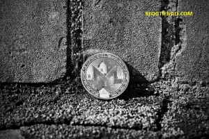 Ảnh của Một Redditor tuyên bố mất 83.000 USD Monero do lỗi ví Ledger