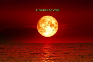 Ảnh của Bitcoin có thể mất 50% giá trị trong năm nay.