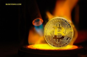 Ảnh của Bitcoin sắp qua giai đoạn lập đáy?