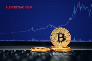 Ảnh của Bitcoin sẽ có giá báo nhiêu? 5.500 USD hay 3.000 USD?