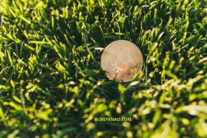 Ảnh của Nhiều tín hiệu khởi sắc, liệu “mùa xuân” của tiền điện tử đang đến?