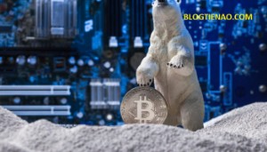 Ảnh của Bitcoin sẽ phục hồi tới đâu khi “mùa đông tiền điện tử” đã qua?