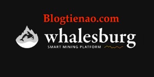 Ảnh của Hướng dẫn đào Ethereum, Ethereum Classic, Dubaicoin, Musiccoin, Expanse trên Whaleburg