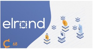 Ảnh của Elrond Network là gì? Thông tin chi tiết về dự án Elrond Network – dự án IEO tiếp theo của Binance và token ERD
