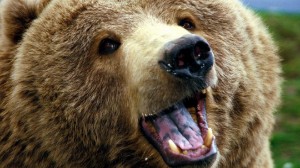 Ảnh của Biểu đồ giá Bitcoin bây giờ có vẻ ‘vô lý’, xu hướng giảm 4 tháng vẫn còn nguyên