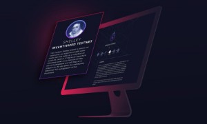 Ảnh của Testnet Shelly của Cardano khởi động với hơn 5 tỷ ADA staking