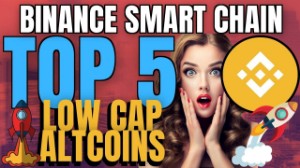 Ảnh của Altcoin Buzz chia sẻ 5 đồng tiền vốn hóa thấp hàng đầu trên Binance Smart Chain (BSC)