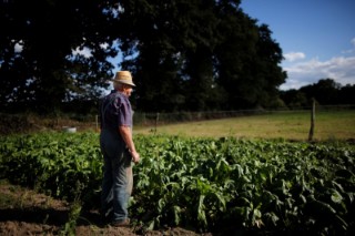 U.S. judge blocks $4 billion debt relief program for minority farmers