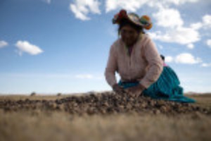 Picture of Peru's indigenous hope for a voice, at last, under new president