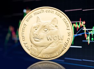 Ảnh của Dogecoin là một “trò lừa đảo” sẽ kết thúc “rất tệ”, chuyên gia tài chính Ric Edelman cho biết