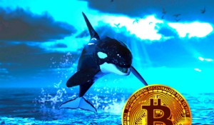 Ảnh của Cá voi tích lũy thêm 2,2 tỷ đô la Bitcoin trong tuần này, theo William Clemente