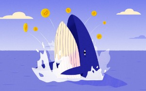 Ảnh của Hành vi cá voi Bitcoin trong thị trường bò 2017 khác biệt như nào thế so với 2021?