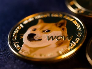 Ảnh của Lượt tìm kiếm Dogecoin đã bùng nổ 122x trong suốt cuộc biểu tình 10,000% của DOGE