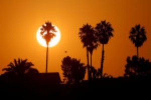 Picture of California urges power conservation in heat wave, prices soar