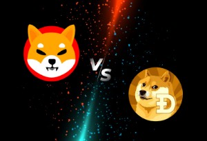 Ảnh của Dogecoin và Shiba Inu lại là cái tên sáng trong cuộc đua mới nhất với mức tăng hai chữ số