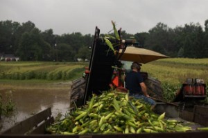 Picture of U.S. Farmers Brace for Inflation as Highs of Crop Rally Wear Off