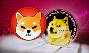 Ảnh của Giá Dogecoin (DOGE) và Shiba Inu (SHIB) giảm hơn 15% trong ngày, liệu nó đã hết thời?