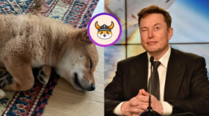 Ảnh của Elon Musk đẩy giá Floki Inu tăng vọt gần 90% chỉ bằng bức ảnh chú chó của mình trên Twitter