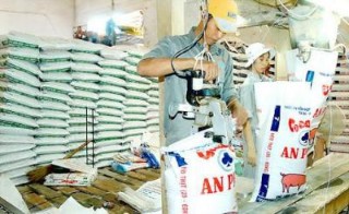 Việt Nam chi hơn 3 tỷ USD nhập khẩu thức ăn chăn nuôi
