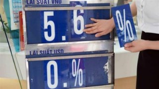 Gói hỗ trợ lãi suất: Cần một cơ chế cho vay đặc biệt từ Quốc hội