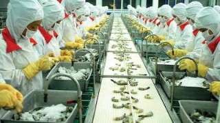“Thông đường” cho thủy sản vào EU