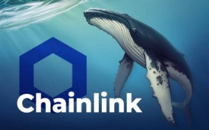 Ảnh của Cá voi Chainlink nhanh chóng buy the dip, gom 1,45 tỷ USD chỉ trong một tuần