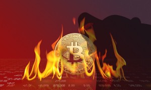 Ảnh của Mr. Whale: Bitcoin có nhiều khả năng về với cát bụi hơn là đạt 100.000 đô la