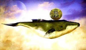 Ảnh của Giao dịch cá voi Bitcoin trị giá 1,5 tỷ đô la “gây bão” thị trường khi các holder lớn tăng cường tích lũy