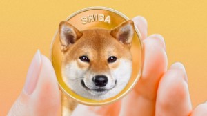 Ảnh của Shiba Inu (SHIB) có thể lao về $ 0,00001 nếu mất hỗ trợ này