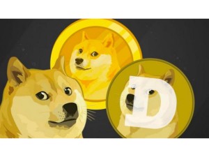 Ảnh của DOGE có còn bị thao túng không?