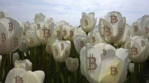 Ảnh của Đã qua rồi cái thời so sánh Bitcoin với bong bóng hoa tulip