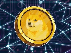 Ảnh của DOGE có thể là coin “quốc dân” nhưng vẫn thiếu điều này