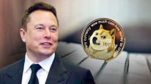 Ảnh của Elon Musk tiết lộ lý do ủng hộ Dogecoin