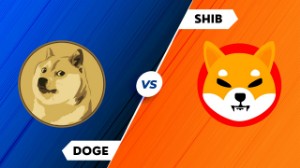 Ảnh của Tại sao không công bằng khi so sánh trực tiếp giữa Shiba Inu và Dogecoin?